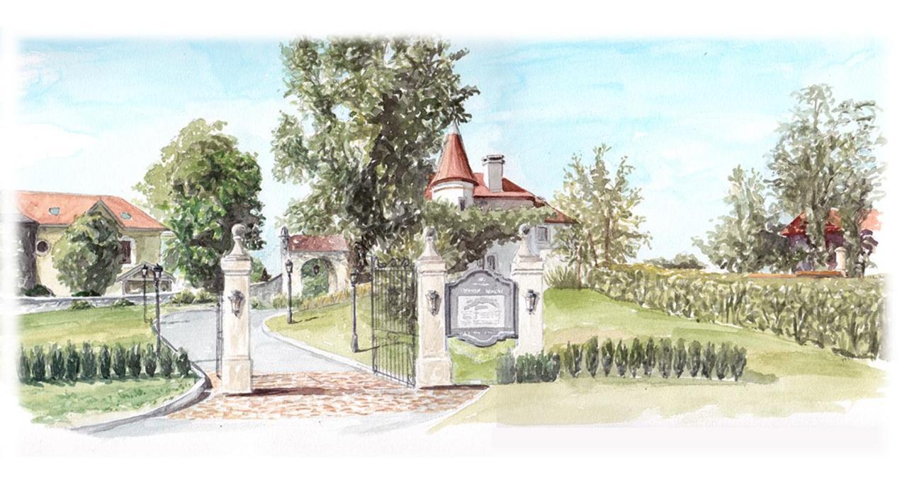 Chateau Brachet Grésy-sur-Aix Exteriör bild